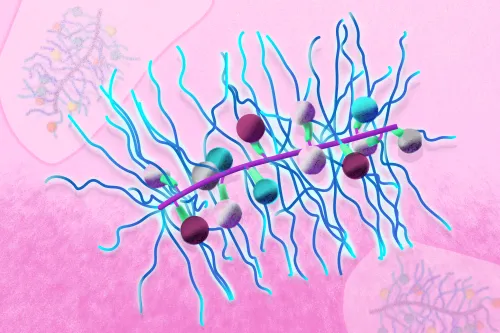 MIT chemists designed a bottlebrush-shaped nanoparticle that can be loaded with multiple drugs, in ratios that can be easily controlled.